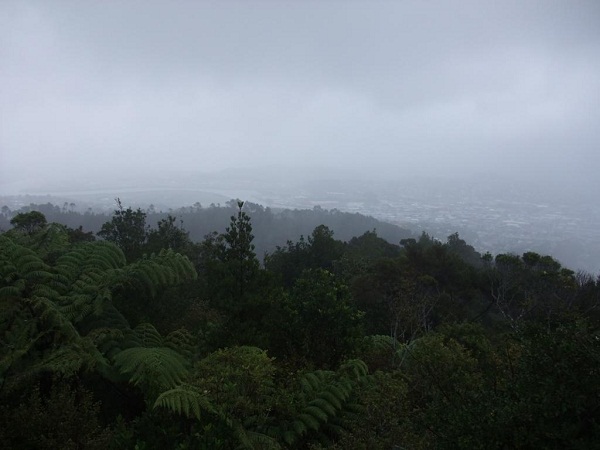 Parihaka Scenic Reserve, Whangarei