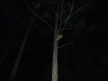 DSCF5934