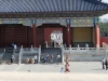 DSCF8875.JPG