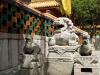 DSCF8974.JPG