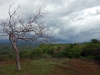 DSC01543
