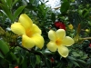 DSC01586