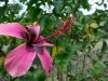 DSC01588