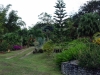 DSC01592