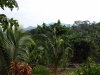 DSC01596