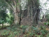 DSCF1441