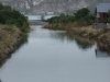 DSCF2653