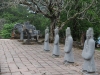 dscf0511