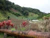 DSC02327