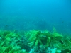 DSCF1675