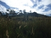 dscf4406