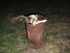 dscf4424