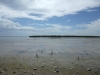 dscf0985