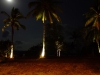 DSC00940