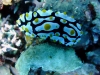 DSCF3515