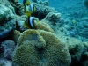 DSCF9108