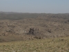 DSCF8523.JPG