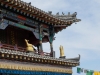 DSCF8531.JPG