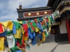 DSCF8532.JPG