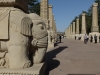 DSCF8539.JPG