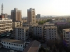 DSCF8637.JPG