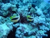 dscf2667