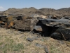 DSCF8437.JPG
