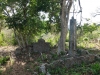 DSCF1499