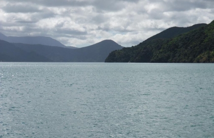 Kaikoura to Picton