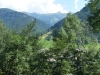 DSCF1221