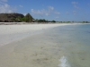 DSC00754