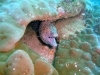 DSCF3372