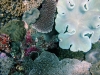 DSCF3402