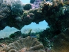 DSCF3431