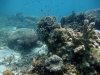 Milimani South, Mafia Island, Tanzania