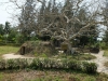 dscf0291