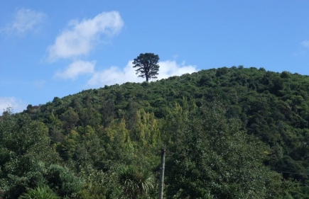 Masterton, Settlers Museum & One Tree Hill