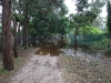 DSCF0024