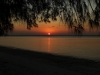 DSCF1627