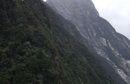 Milford Sound