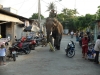 dscf0259