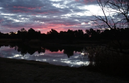 Roma to Barcaldine