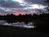 DSCF6346