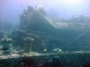 Thistlegorm, Red Sea