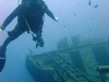 Thistlegorm, Red Sea