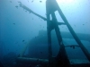 Thistlegorm, Red Sea