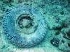 Thistlegorm, Red Sea