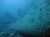 Thistlegorm, Red Sea