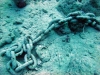 Thistlegorm, Red Sea