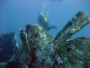 Thistlegorm, Red Sea